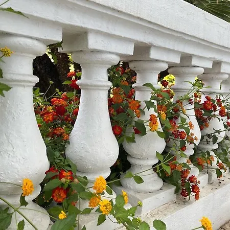 Beautiful Garden Steps From The Apartment
