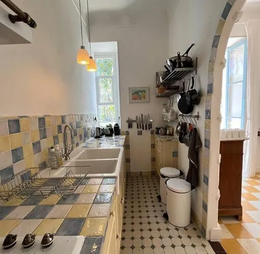 Beautiful Garden Steps From The 멍똥